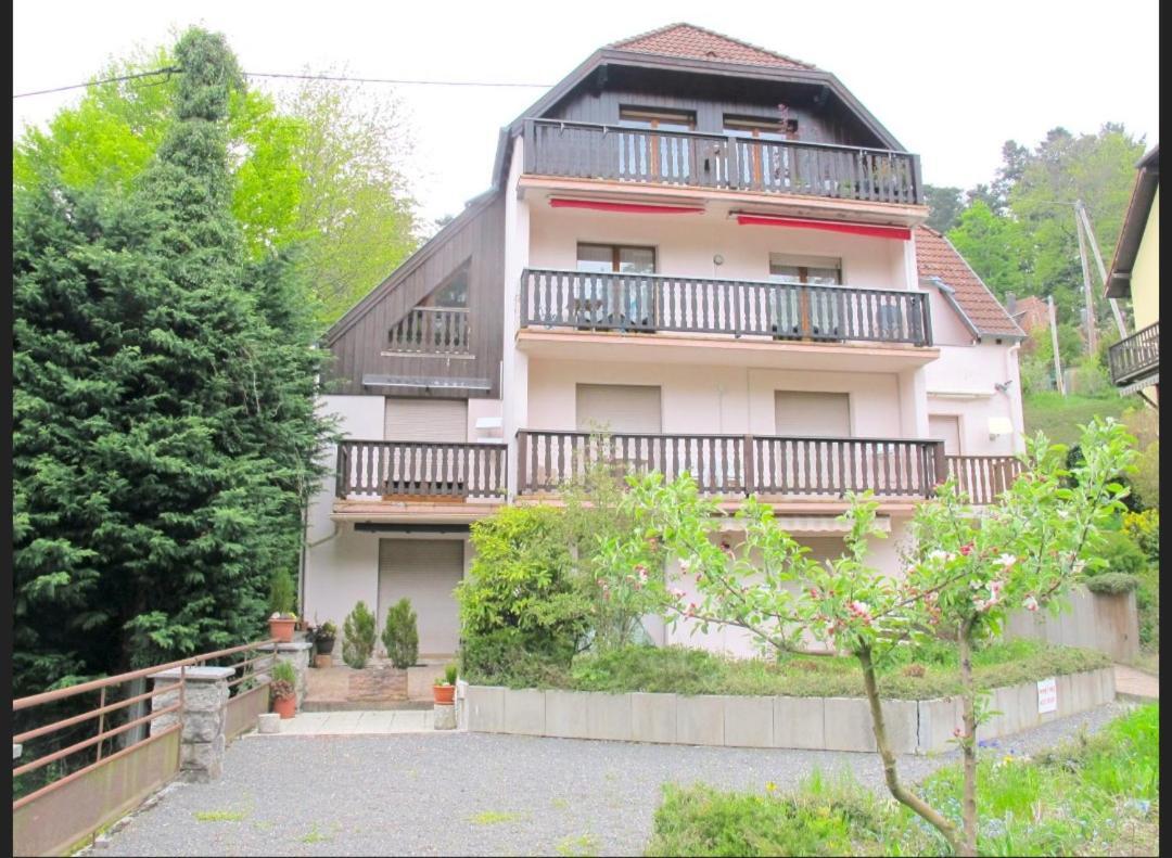 Studio Le Manet Apartment Le Hohwald Bagian luar foto