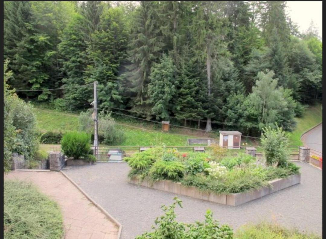Studio Le Manet Apartment Le Hohwald Bagian luar foto